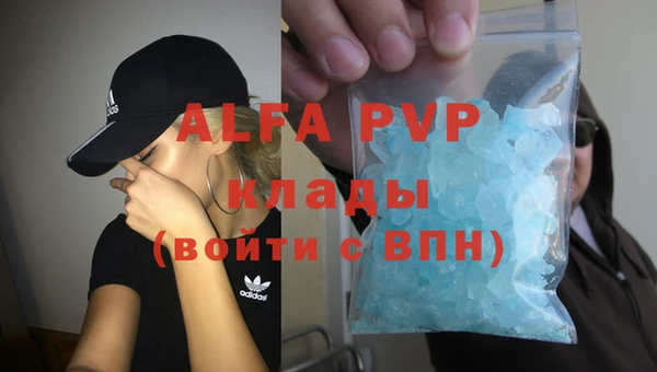 крисы Алзамай