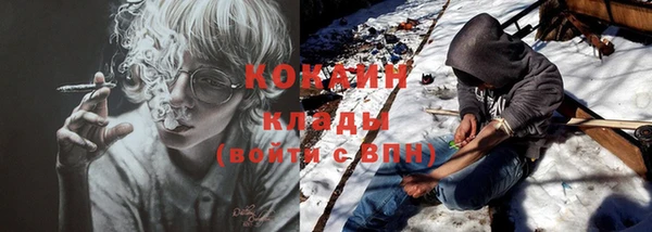 крисы Алзамай