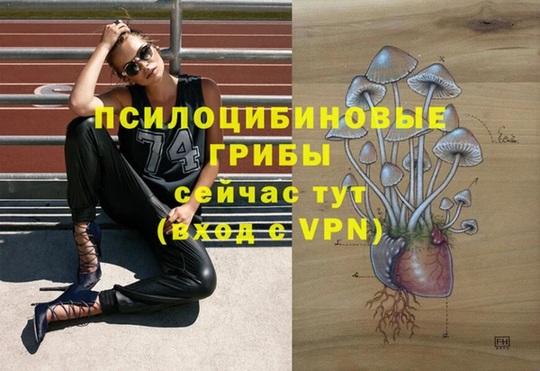 крисы Алзамай