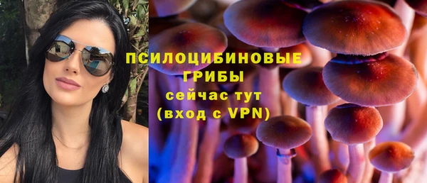 крисы Алзамай
