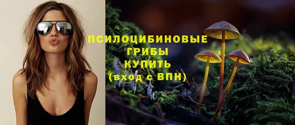 ПСИЛОЦИБИНОВЫЕ ГРИБЫ Алексеевка