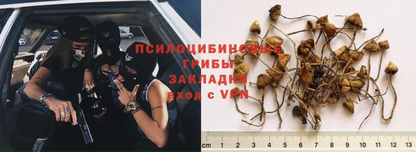 соль курить ск Алексин