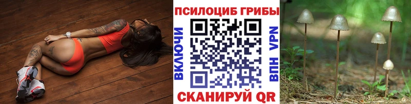 Купить  Верхняя Салда  Галлюциногенные грибы Magic Shrooms 